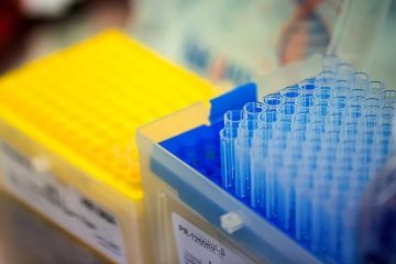 bingoplus Philippines